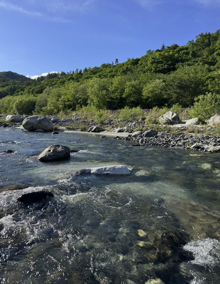 花崗岩の岩と澄んだ流れ、対岸の新緑