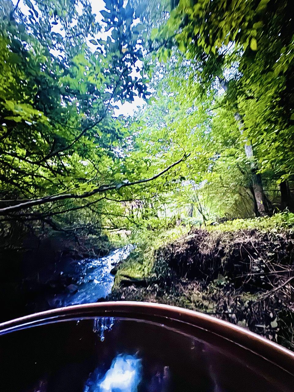 ドラム缶風呂から森を見上げる（湧火・沢のそばの湯）