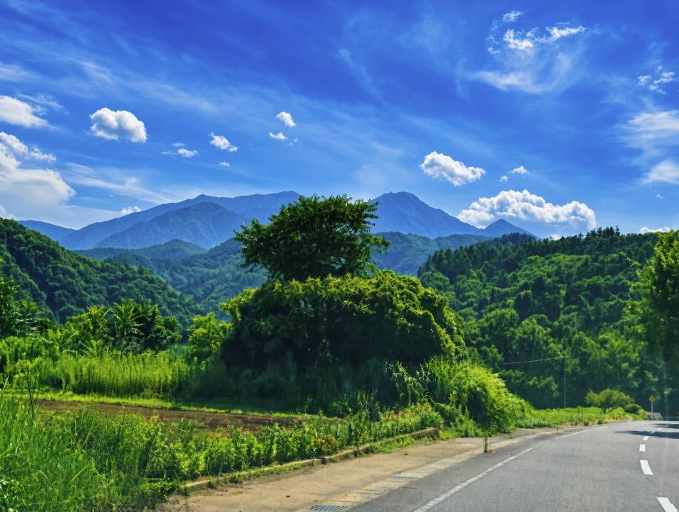 田畑のあいだを抜ける道と、その先に連なる山なみ